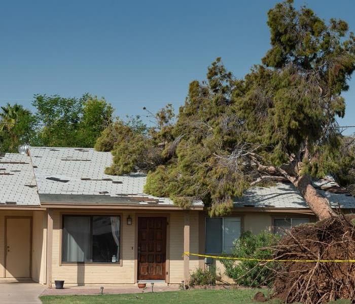 Wind Storm Roof Damage