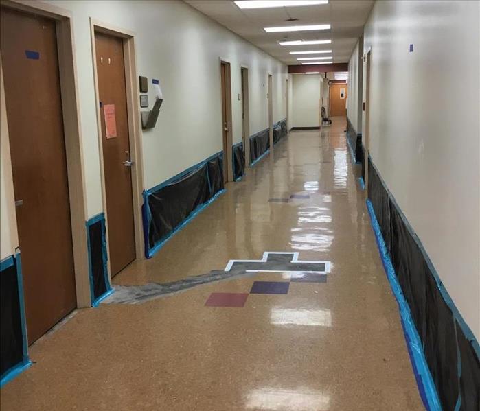 Large commercial hallway with many doors.  Drywall removed up to two feet, which has been covered with black plastic 